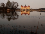 2013-04_Moritzburg-9559