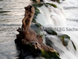 IMG_0059_Rheinfall_2012