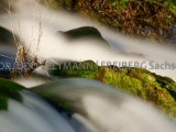 IMG_0119_Rheinfall_2012
