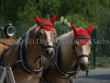 IMG_5100_Moritzburg_2009