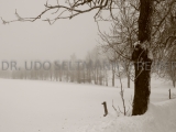 2013-02_Frauenwald_6285
