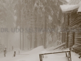 2013-02_Sattelbach_6815