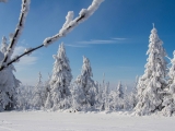 2013-07_Winter-Zinnwald_5277