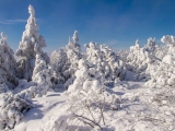 2013-07_Winter-Zinnwald_5281