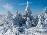 2013-07_Winter-Zinnwald_5288