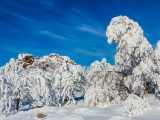 2013-07_Winter-Zinnwald_5330