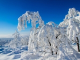 2013-07_Winter-Zinnwald_5336