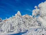 2013-07_Winter-Zinnwald_5352