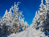 2013-07_Winter-Zinnwald_5381