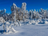2013-07_Winter-Zinnwald_5395