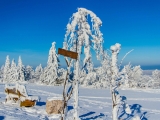2013-07_Winter-Zinnwald_5431