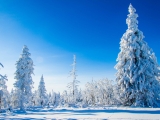 2013-07_Winter-Zinnwald_5457
