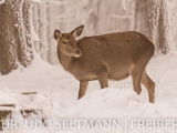 2013_Frauenwald-7208