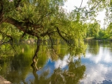 2015-08_Freiberg_1702
